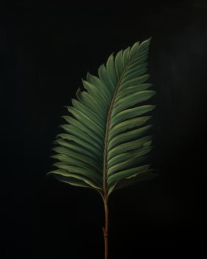renaissance painting, single palmtree leaf, dark background --ar 4:5