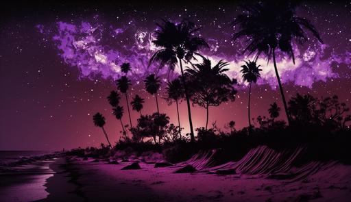 dark purple galaxy over a beach, at night, palm tree, posterized, detailed, purple, brown, --ar 16:9