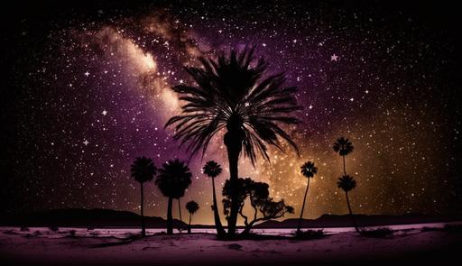 dark purple galaxy over a beach, at night, palm tree, posterized, detailed, purple, brown, --ar 16:9