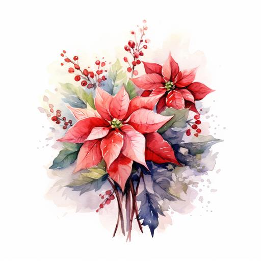 a small bouquet of poinsettia , white background, watercolor style