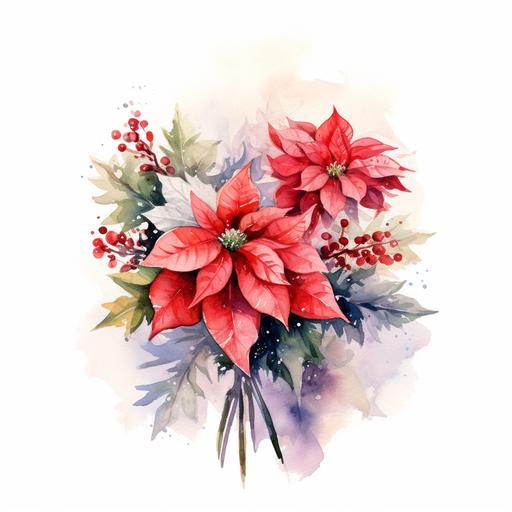 a small bouquet of poinsettia , white background, watercolor style