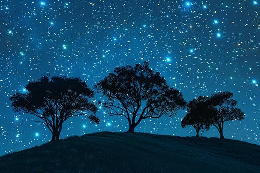 trees and the stars on a grassy hill, in the style of cowboy imagery, silhouettes in space, nikon d850, li wei, rural life scenes, 32k uhd, tabletop photography --ar 128:85 --v 6.0
