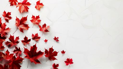 Canadian Flag, abstract solid red shapes, modern, white background, maple leaves --v 6.0 --ar 16:9