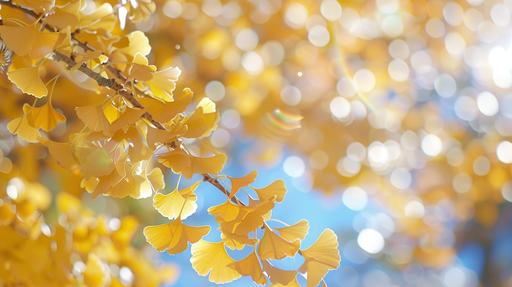 Gentle and soft style photographs taken with an old lens style. Ginkgo branch with bright autumn leaves. The background is blue. Bokeh, ghost and lens flare, soft filter --chaos 20 --ar 16:9 --v 6.0