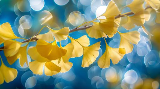 Gentle and soft style photographs taken with an old lens style. Ginkgo branch with bright autumn leaves. The background is blue. Bokeh, ghost and lens flare, soft filter --chaos 20 --ar 16:9