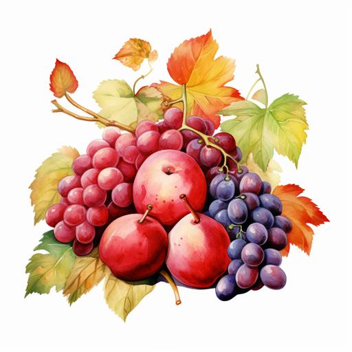 watercolor style, Harvest Fruits: Clipart of apples, grapes, pears, or other seasonal fruits, adding a touch of freshness and abundance to Thanksgiving designs. clipart, isolated on white background