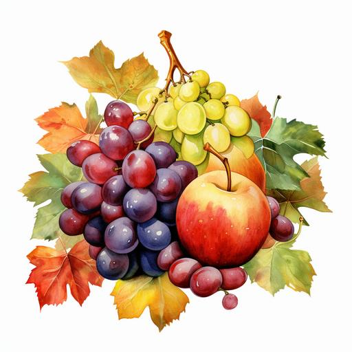 watercolor style, Harvest Fruits: Clipart of apples, grapes, pears, or other seasonal fruits, adding a touch of freshness and abundance to Thanksgiving designs. clipart, isolated on white background