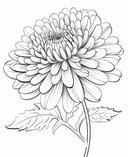 outlime art for kids coloring book page, chrysanthemum, white background, cartoon style, only use otline, line art, clean line art --ar 9:11