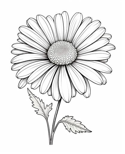 outlime art for kids coloring book page, daisy, white background, cartoon style, only use otline, line art, clean line art --ar 9:11