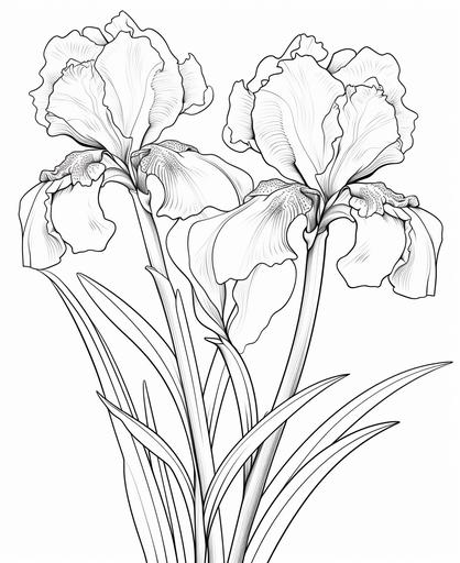 outlime art for kids coloring book page, iris, white background, cartoon style, only use otline, line art, clean line art --ar 9:11