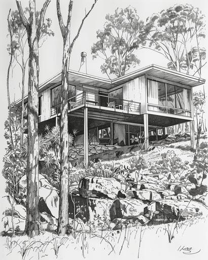 1950 architecture, dwelling in the blue mountains Australia, cross-hatching in etching scratchboard style, wavy lines, line drawing, graphics, blue ballpoint pen drawing, --chaos 20 --ar 4:5 --v 6.0