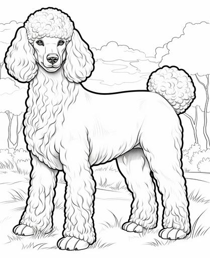 coloring page for kids, Standard Poodle, cartoon style, thick line, low detailm no shading --ar 9:11