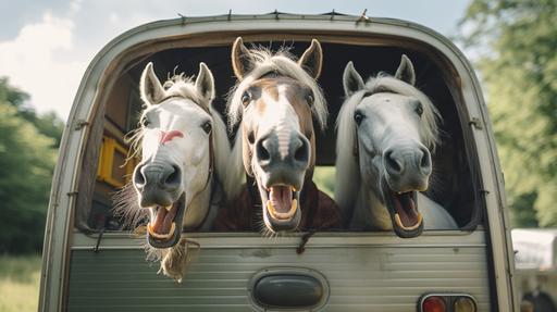 3 funny horses in a trailer during a trip --ar 16:9
