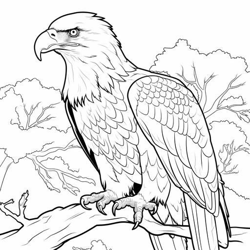 coloring page for kids, Bald Eagle, cartoon style, thick line, low detailm no shading