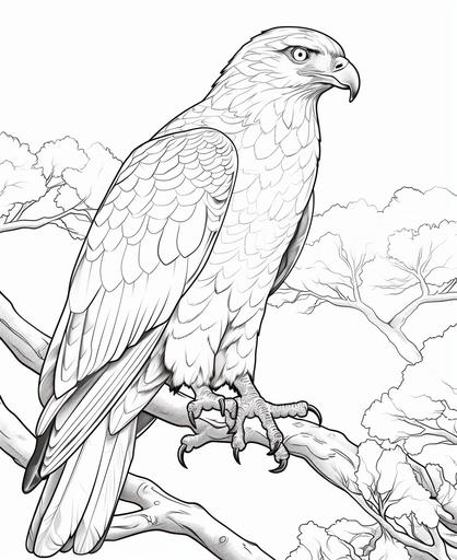 coloring page for kids, Hawk, cartoon style, thick line, low details, no shading --ar 9:11