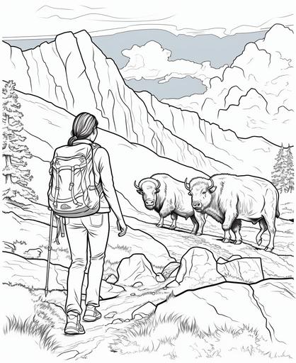 Coloring book for teens, Hispanic young woman heroine adventurer hiking through Yellowstone national park with old faithful and buffaloes, cartoon style, thick lines, no shading, black and white, low detail --ar 9:11