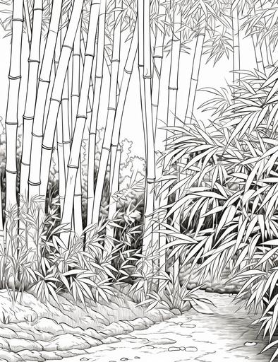 coloring book pages, Draw a bamboo garden with many bamboo trees , cartoon styles, thick lines, low detail, no shading, --ar 85:110