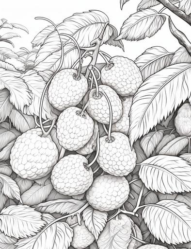 coloring book pages, Draw a lychee garden full of fruit , cartoon styles, thick lines, low detail, no shading, --ar 85:110