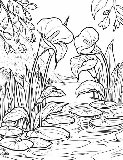 coloring book pages, Draw the beautiful Peace Lily flowers garden, modern styles, low detail, no shading, --ar 17:22