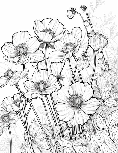 coloring book pages, Draw the beautiful anemone garden, modern styles, low detail, no shading, --ar 17:22