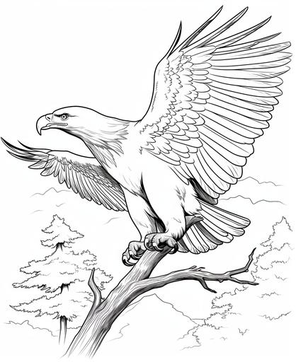 coloring page for kids, Bald Eagle, cartoon style, thick line, low detail, no shading --ar 9:11