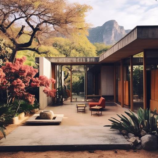 in Tepoztlan, Mexico. build a 1 story house within a 20 x 20 meter' plan in the style of Luis Barragan during the day in a realistic modernist style with furniture by clara porset
