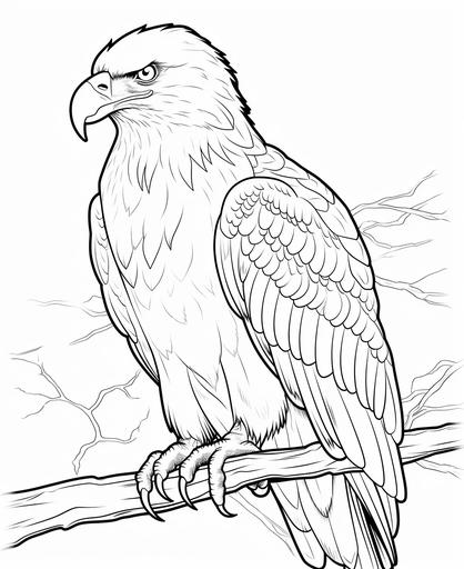 coloring page for kids, Bald Eagle , cartoon style, thick line,low deteail, no shading --ar 9:11