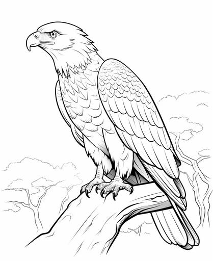 coloring page for kids, Bald Eagle , cartoon style, thick line,low deteail, no shading --ar 9:11