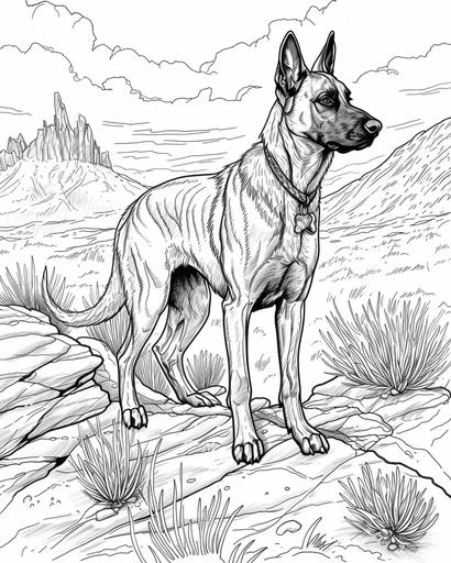 A Belgian Malinois on a desert trail, coloring page for adults, thick lines, black and white, greyscale --ar 4:5 --v 6.0