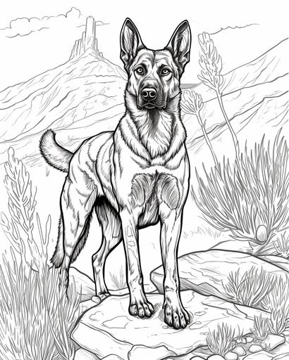 A Belgian Malinois on a desert trail, coloring page for adults, thick lines, black and white, greyscale --ar 4:5 --v 6.0