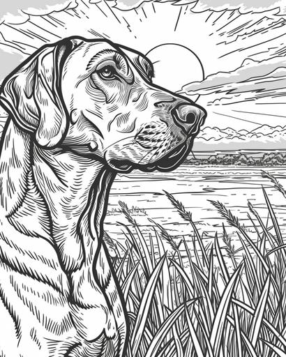 A Rhodesian Ridgeback in an African savannah at sunset, coloring page for adults, thick lines, black and white, greyscale --ar 4:5 --v 6.0