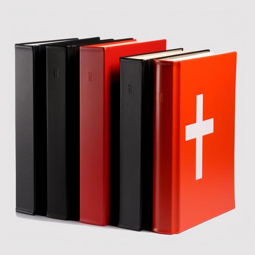 A bible designed by Massimo Vignelli --v 5