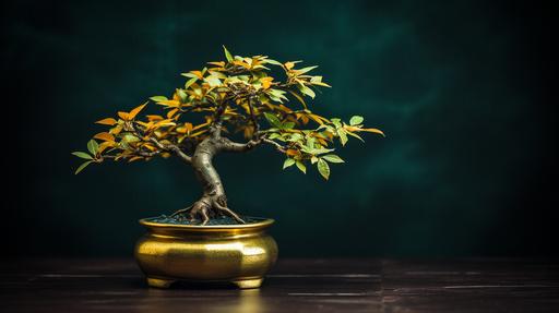 A bonsai tree in a pot, gold leaves, golden detales, minimalistic, awar winning phtography, stock photo --ar 16:9