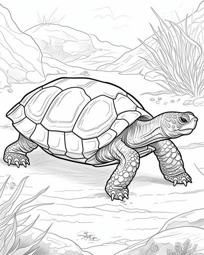 A calm turtle slowly walking, coloring book page, black and white, no shading --ar 4:5 --v 6.0