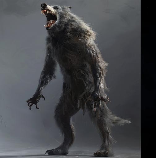 A full body portrait of an anthropomorphic werewolf, standing on its hind legs and howling with mouth open to the sky. The wolf's fur is dark gray in color, and it has sharp teeth that are visible when it is barking. Its skin appears rough and textured, with long hair covering parts of its back and tail. The background is a neutral grey color, with soft lighting casting shadows over it. In the style of Gerald Brom. Kelimutuian story, Kelimutucore, Kelimutuwave --ar 63:64 --v 6.0 --chaos 18