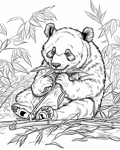 A relaxed panda bear munching on bamboo, coloring book page, black and white, no shading --ar 4:5 --v 6.0