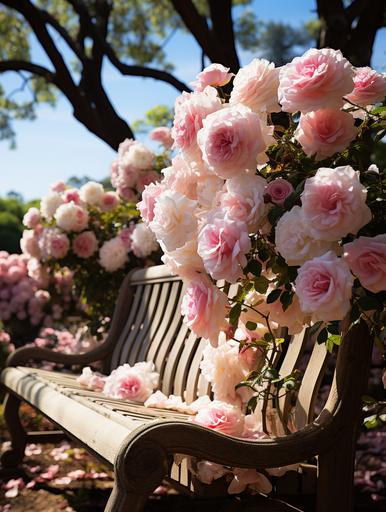 A traditional English rose garden, red, pink, and white roses in full bloom, surrounded by neatly trimmed hedges, with a vintage wrought-iron bench placed for visitors to enjoy the view. --ar 3:4 --s 750