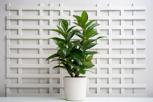 Aesthetic minimal white grid pattern wallpaper with green leaves in the pot --ar 3:2