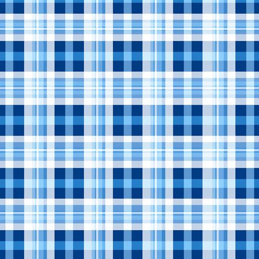 Blue and White Plaid Pattern