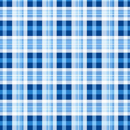 Blue and White Plaid Pattern