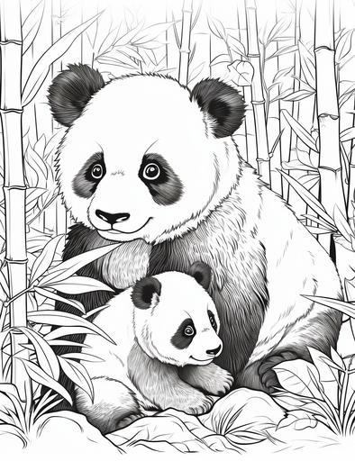 Coloring page for kids, A playful panda family in a bamboo forest, cartoon style, thick lines, low detail, black and white, no shading --ar 85:110