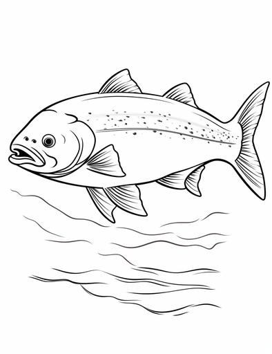 Create coloring pages for kids of salmon in a cartoon style. lines are thick, the details are minimal, it's in black and white, and there is no shading --ar 85:110