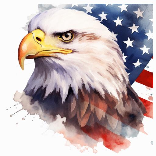 Eagle Flag PNG Patriotic USA Eagle Flag watercolor Clipart American Eagle Illustration highqulity