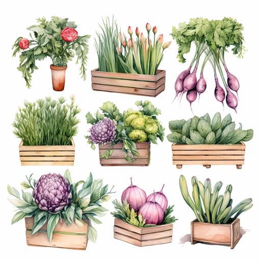 Farmers Market Herbs Stand Watercolor Clipart Herbs PNG born pink flowers Commercial Use Farm Produce Plants Graphic Design Cottagecore Illustration