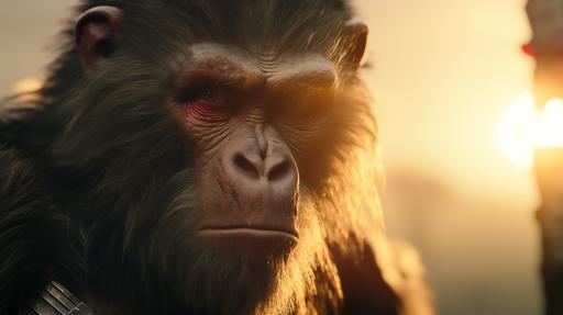 In a cinematic sequence set on the Planet of the Apes, Sun Wukong, the Monkey King, tours a human zoo as signs of an impending revolt simmer. Golden, setting sun bathes the scene with long shadows. Camera moves with him, selective focus on Sun Wukong's expressive face amidst oppressive atmosphere, subtle hints of rebellion emerge, contrasting reactions from fellow apes and captive humans add to the tension, creating a visually compelling narrative of intrigue and impending uprising --ar 16:9 --c 10