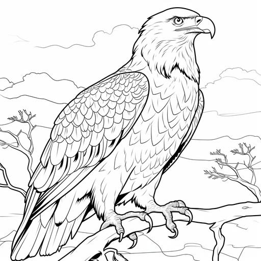 Low detail cartoon bald eagle, no color, thick lines, no shading, kids coloring book page style