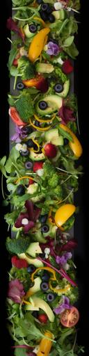 with fusion energy indoor urban farms working 24 hours a day robotic harvesting closed loop water system nutrient cycle maximization high end organic produce at scale for the masses at a fraction of the cost :: yum salad --ar 1:4 --q 2 --v 5