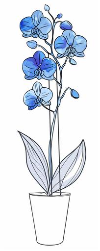 Mesmerizing minimalist single line sketch elegant deep blue orchid flower on a long graceful stem, in a white flower pot. Continuous bold line drawing. bold black, deep blue and white --ar 2:5 --v 6.0 --style raw