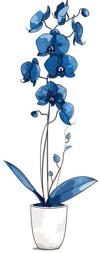 Mesmerizing minimalist single line sketch elegant deep blue orchid flower on a long graceful stem, in a white flower pot. Continuous bold line drawing. bold black, deep blue and white --ar 2:5 --v 6.0 --style raw --s 250