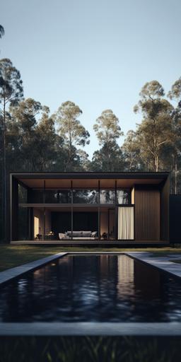 Photo taken with 18-35mm lens, a modern wood and black ceramic rectangular Australian house in the Australian forest bushland, with a small patch of grass and swimming pool and outdoor entertaining area, blur sky, beautiful day, natural light, minimal modernism, architecture, downlights, recessed lighting, 16k, --ar 1:2 --s 1000 --c 20